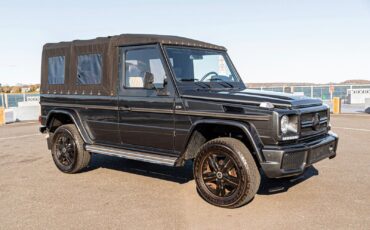 Mercedes-Benz-G-Class-Cabriolet-1993-15