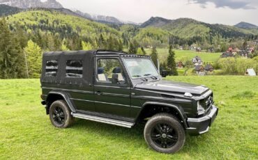 Mercedes-Benz-G-Class-Cabriolet-1993-7