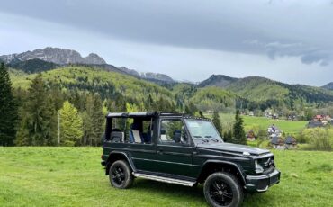 Mercedes-Benz-G-Class-Cabriolet-1993-8