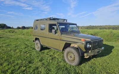 Mercedes-Benz G Wagon Cabriolet 1982 à vendre