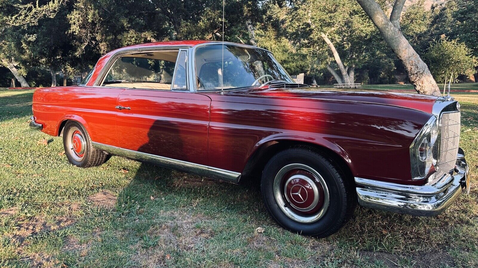 Mercedes-Benz-Other-Coupe-1966-2