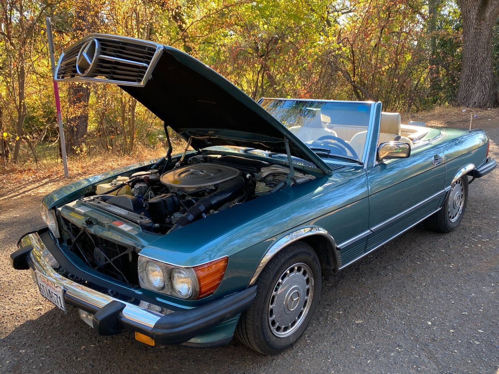 Mercedes-Benz-SL-Class-Cabriolet-1989-12