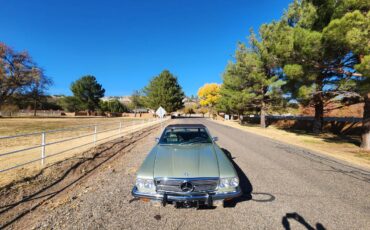 Mercedes-benz-Benz-450-sl-1973-7