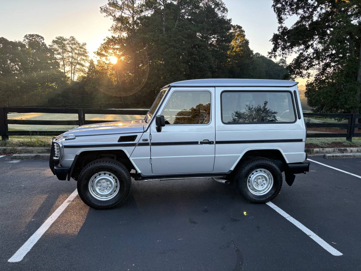 Mercedes-benz-benz-g-class-1990-1