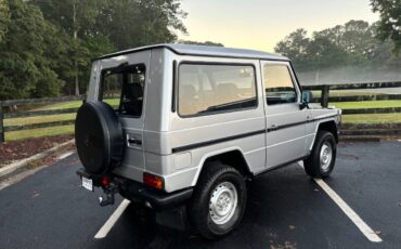 Mercedes-benz-benz-g-class-1990-15