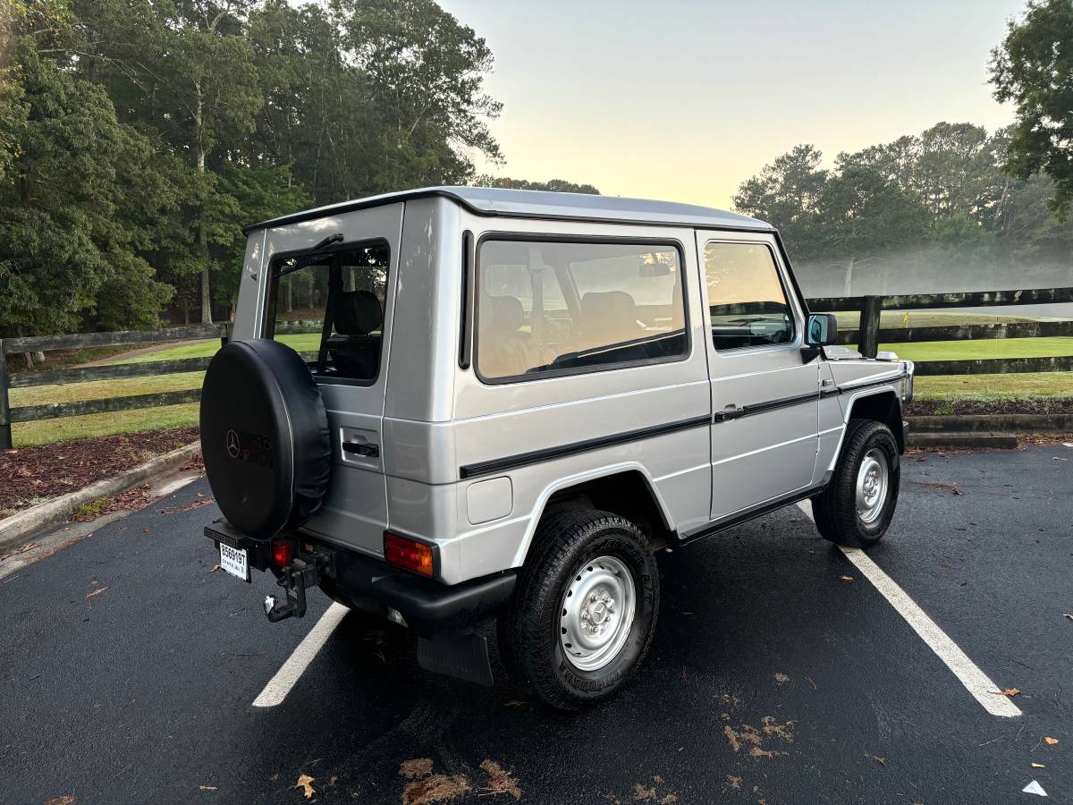 Mercedes-benz-benz-g-class-1990-15