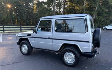 Mercedes-benz-benz-g-class-1990-21