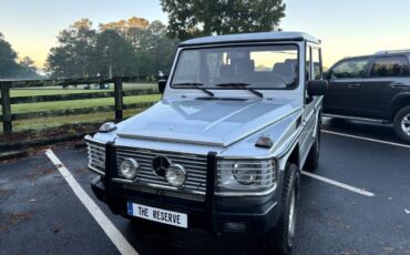 Mercedes-benz-benz-g-class-1990-4