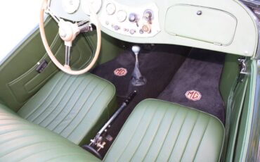 Mg-Td-1953-8