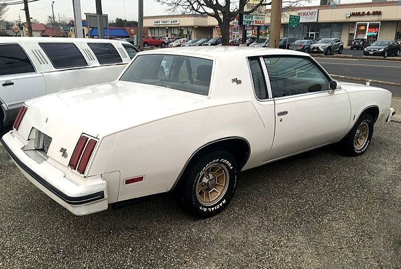 Oldsmobile-442-1979-4