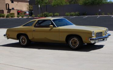 Oldsmobile-Cutlass-1974-6