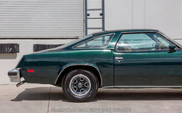 Oldsmobile-Cutlass-1977-10