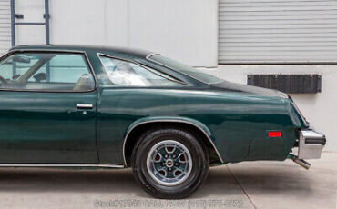 Oldsmobile-Cutlass-1977-11