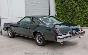 Oldsmobile-Cutlass-1977-6