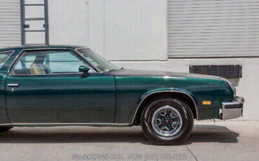 Oldsmobile-Cutlass-1977-9