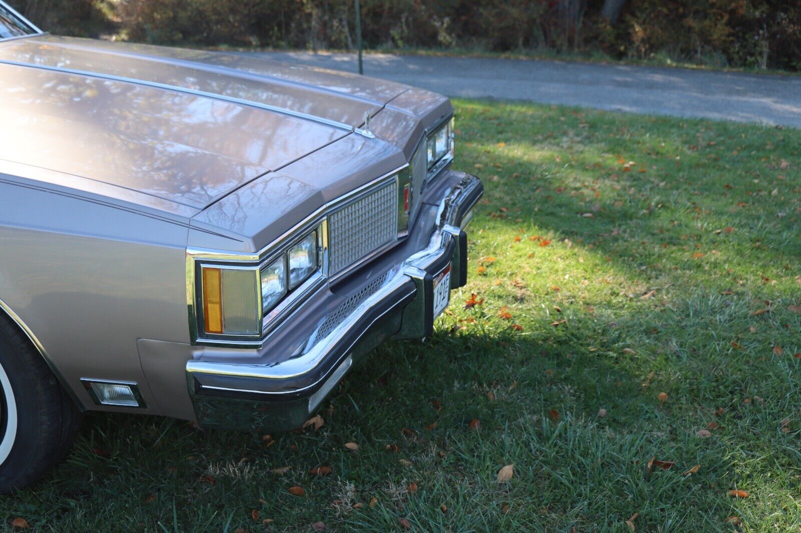 Oldsmobile-Ninety-Eight-Berline-1983-7