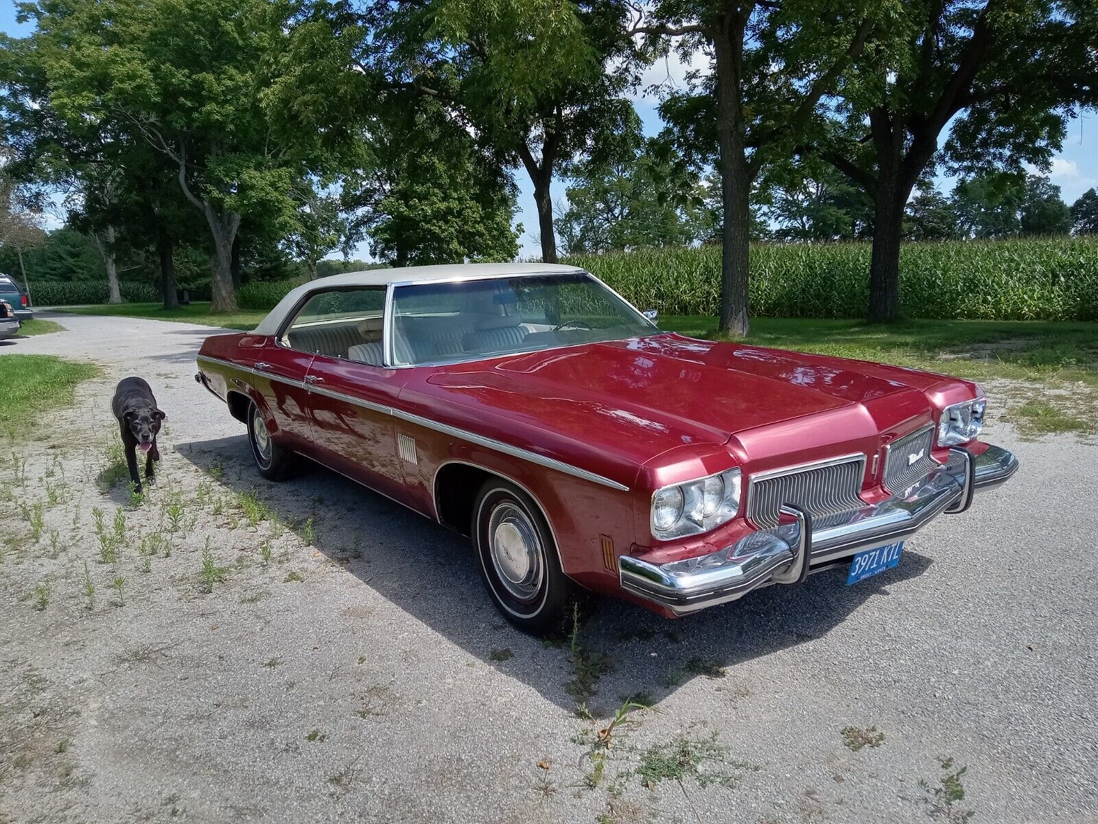 Oldsmobile-Other-1973-4