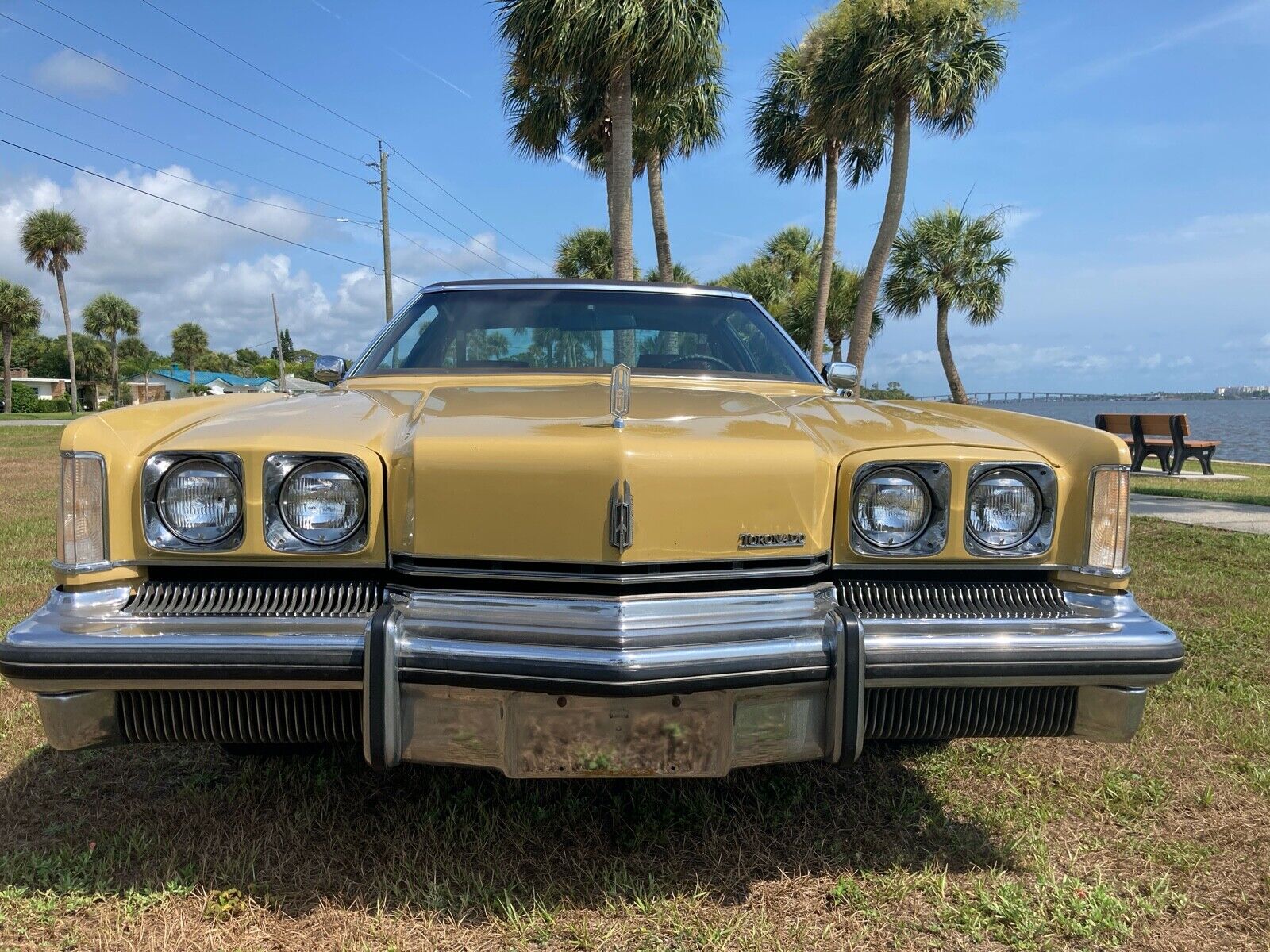 Oldsmobile-Toronado-1973-2