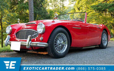 Other 3000 Cabriolet 1961