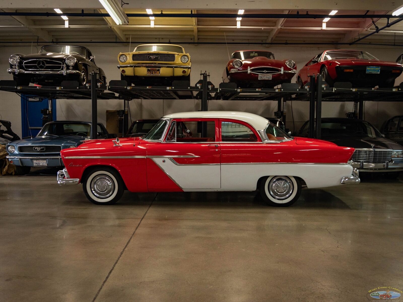 Plymouth-Belvedere-1955-5