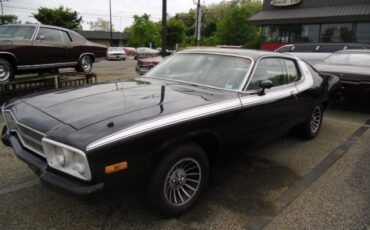 Plymouth-Road-Runner-1974-5