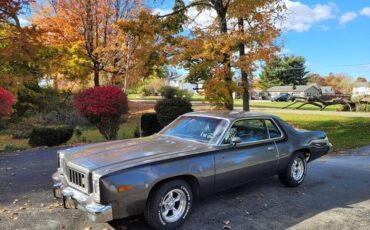 Plymouth-Road-Runner-1975-35