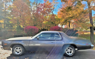 Plymouth-Road-Runner-1975-4