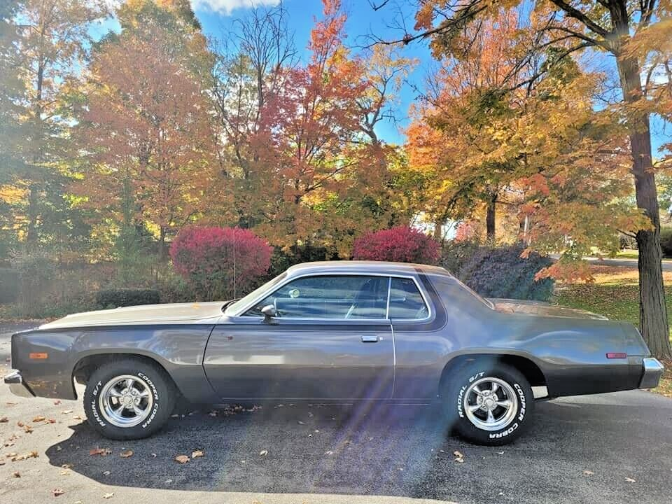 Plymouth-Road-Runner-1975-4