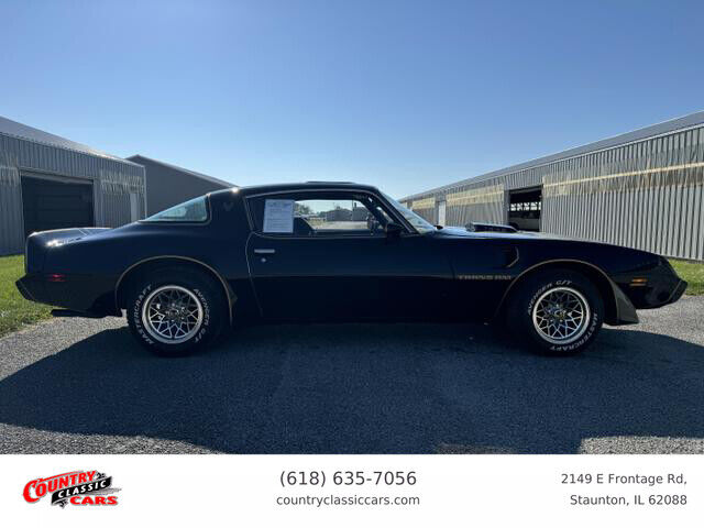 Pontiac-Firebird-1979-11