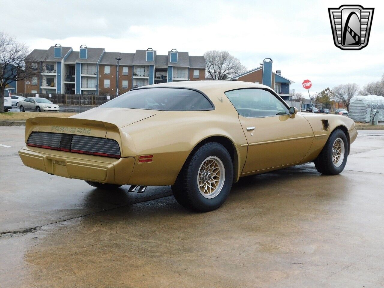 Pontiac-Firebird-1979-4