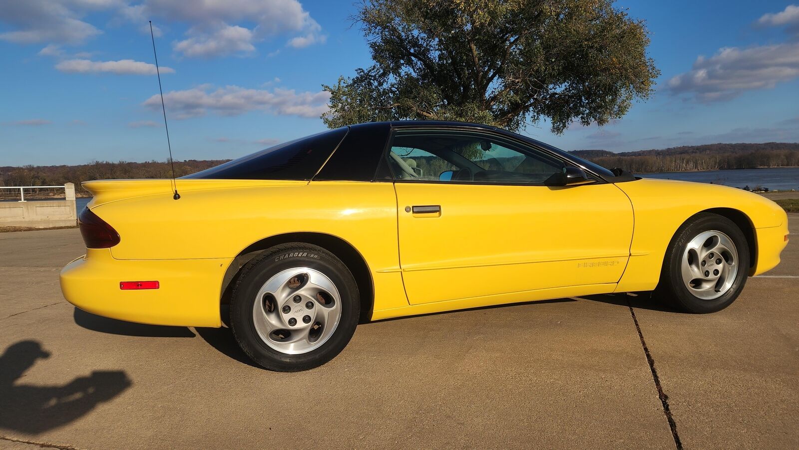 Pontiac-Firebird-1994-10