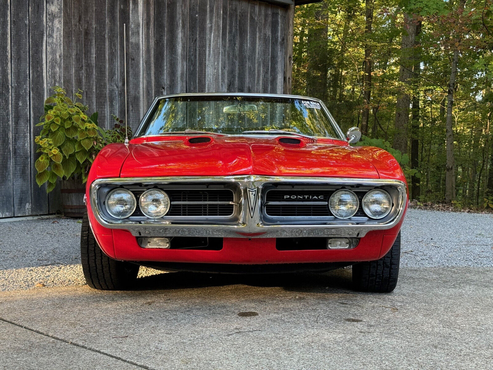 Pontiac-Firebird-Cabriolet-1967-6