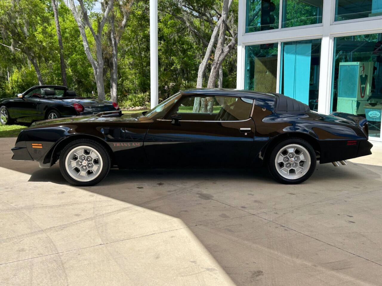 Pontiac-Firebird-Cabriolet-1976-10