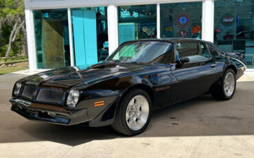 Pontiac-Firebird-Cabriolet-1976-11