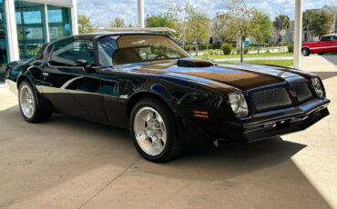 Pontiac-Firebird-Cabriolet-1976-2