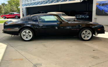 Pontiac-Firebird-Cabriolet-1976-3