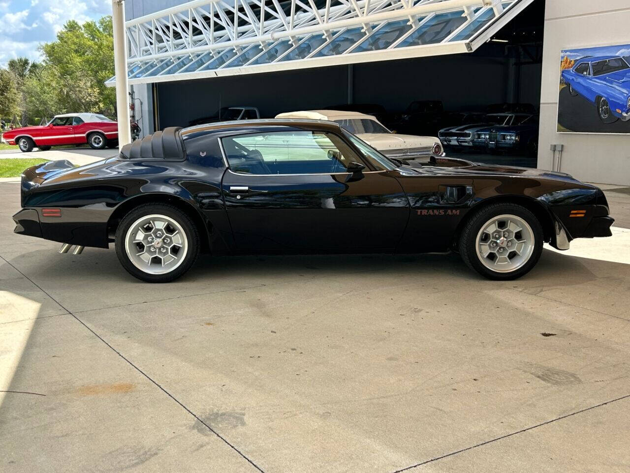 Pontiac-Firebird-Cabriolet-1976-3