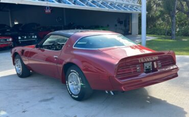 Pontiac-Firebird-Cabriolet-1976-8