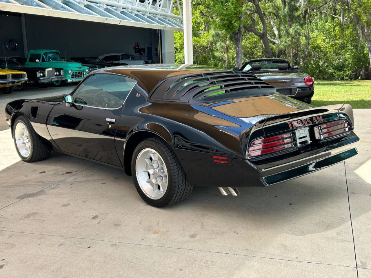 Pontiac-Firebird-Cabriolet-1976-9