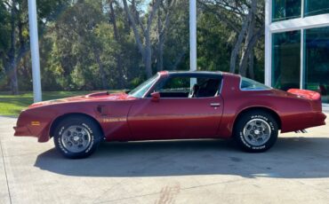 Pontiac-Firebird-Cabriolet-1976-9