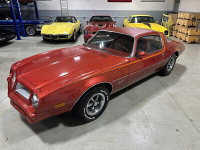 Pontiac-Firebird-Coupe-1976-1