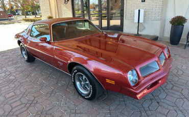 Pontiac-Firebird-Coupe-1976-11