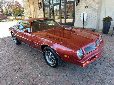 Pontiac-Firebird-Coupe-1976-11