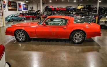 Pontiac-Firebird-Coupe-1976-11