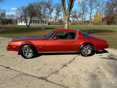 Pontiac-Firebird-Coupe-1976-3