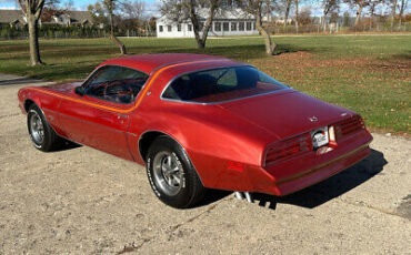 Pontiac-Firebird-Coupe-1976-4