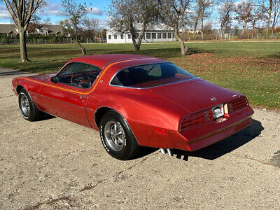 Pontiac-Firebird-Coupe-1976-4