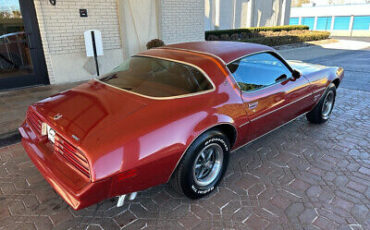 Pontiac-Firebird-Coupe-1976-7