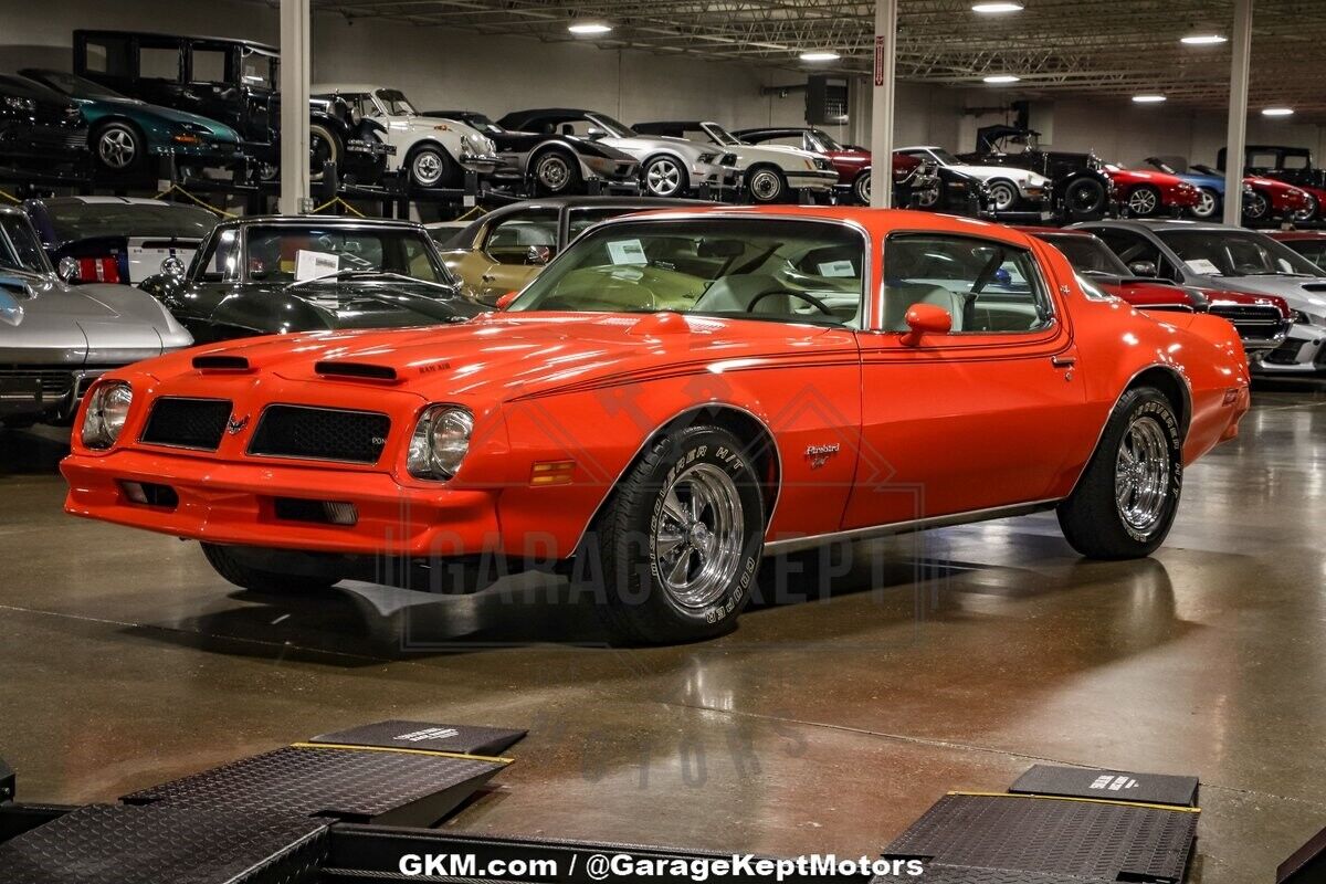 Pontiac-Firebird-Coupe-1976-8