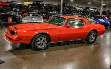 Pontiac-Firebird-Coupe-1976-9